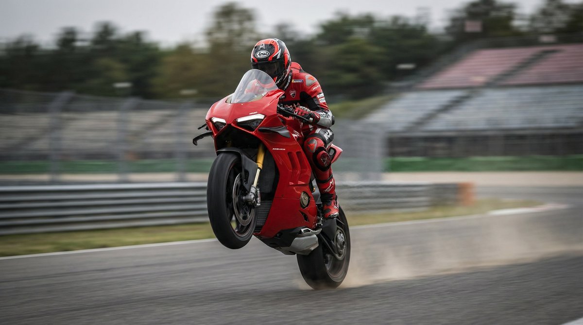 明星摩托车视频